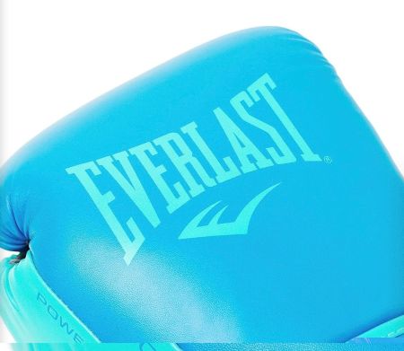 Boxing Gloves-Everlast Powerlock2 Training Gloves for Women – Comfortable Fit & Durable Design
